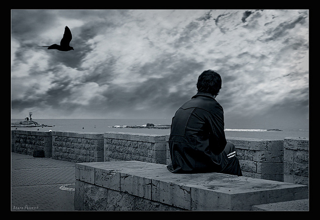 Ответ поэту