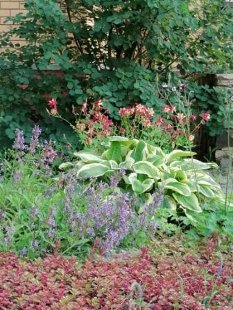 Утро на хуторе