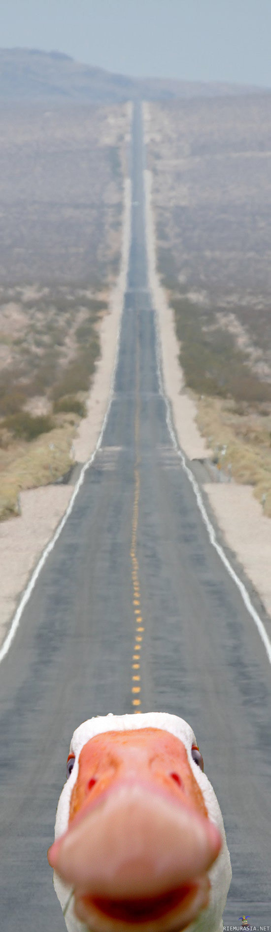 Лирическое