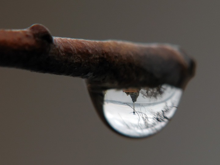 Умыт дождем благословенный город...