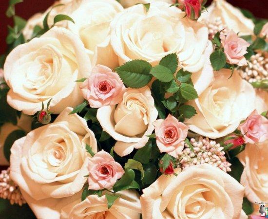 Жду тебя безответно