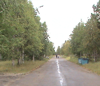 Северное лето