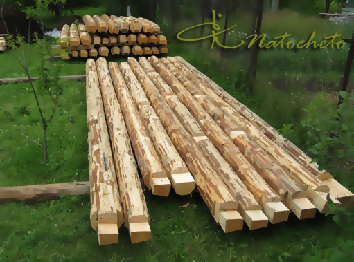 Натаскались