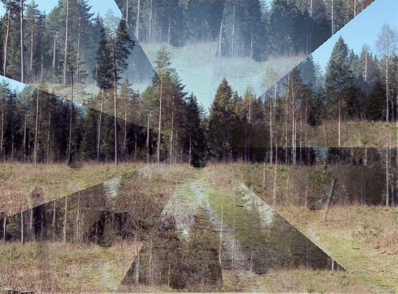 Эй, тропинка