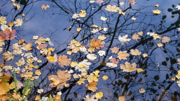 Нам всё на свете по плечу...