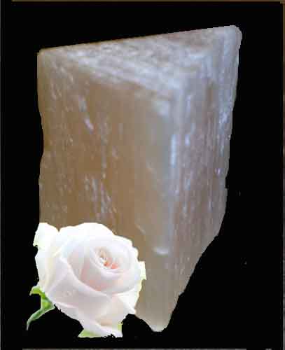 Доказательство от Противного