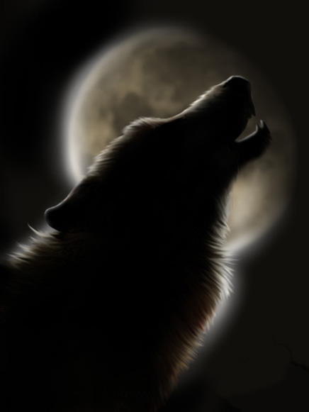 Ворожба была напрасной