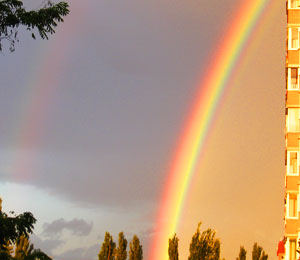 Мой яркиий радуг