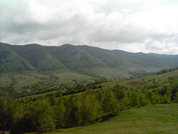 Будем жить!