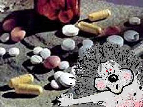 Ёжики под колёсами