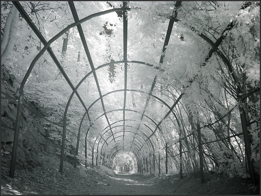 Летние миражи