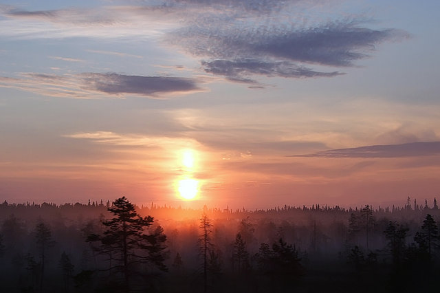 Июньская ночь