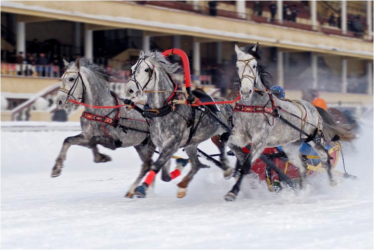 Тройка катайск. Тройка логотип. Торговый центр тройка оренбург. Карта тройка. Тройка рысаков.