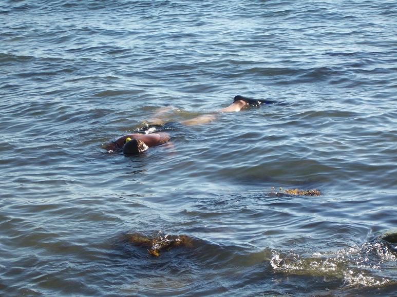 Советы отдыхающим