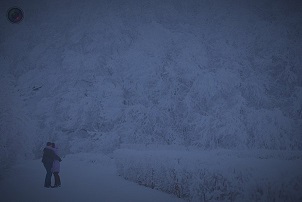 Снежинки