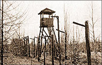 Махну рукой