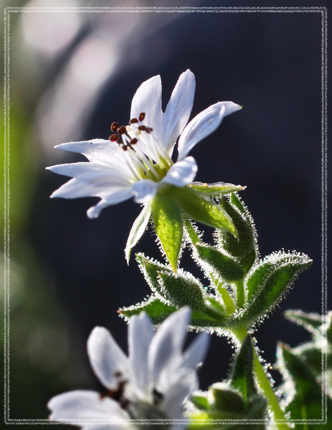 ненаписанное-ТБ