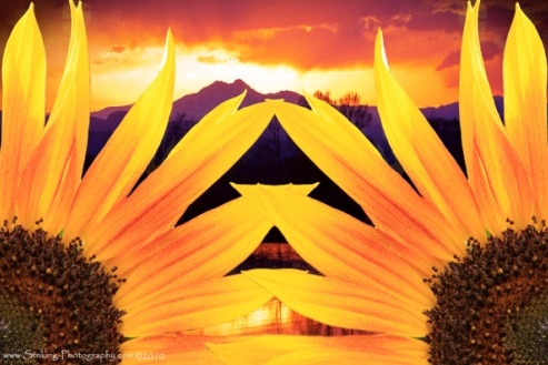 Золотой мираж