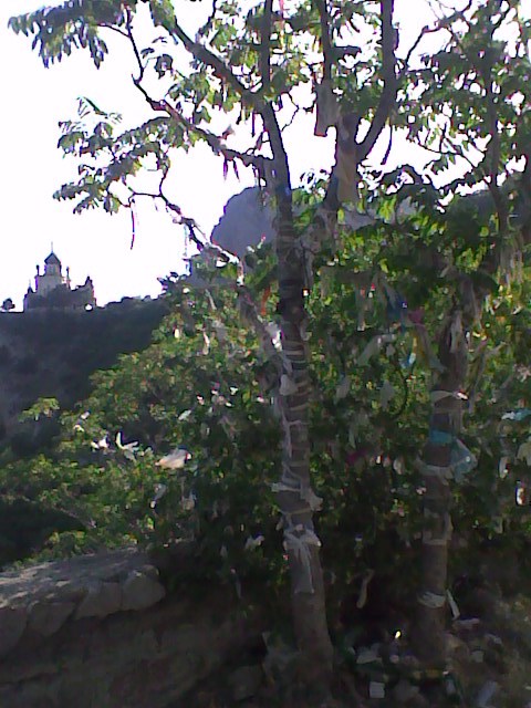 Ты в Крым купи заранее билет...