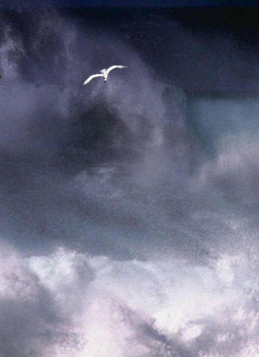 Море чернее ночи