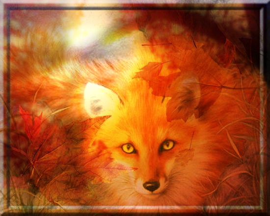 Крадётся Осень - рыжая лисица