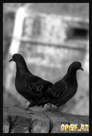 Я не хочу с тобою говорить