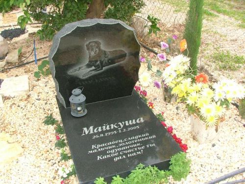 Памятник сдохшему псу