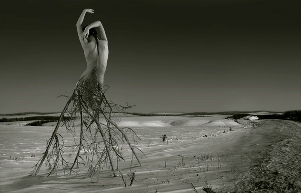 Перекати-поле