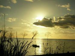 Светило. 29. 06. 2006