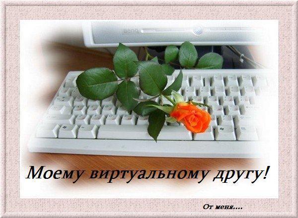 Мы встретились с тобою в интернете