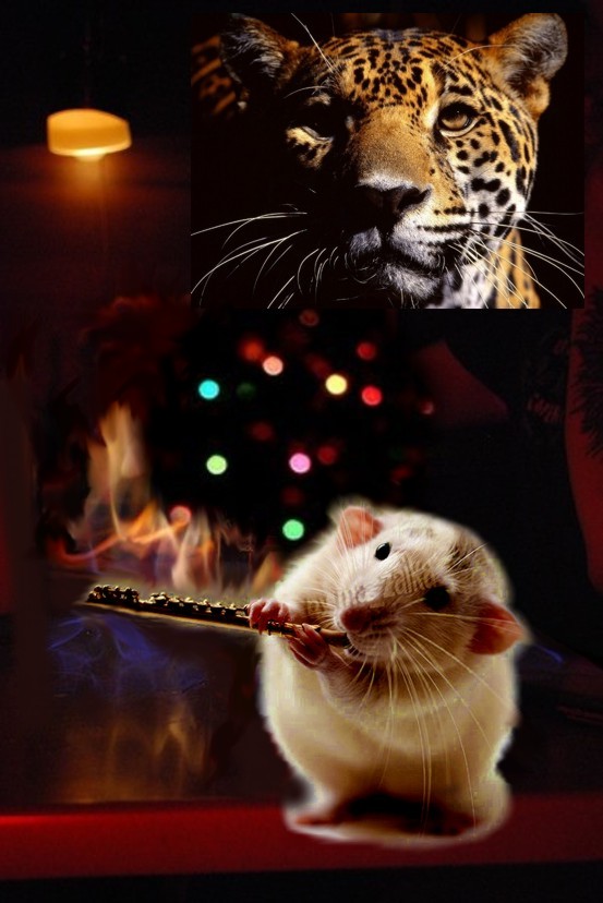 тигр и крыса. крыса и тигр. тигровая крыса. тигр и крыса. тигр и крыса.