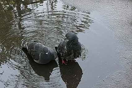 Чтобы в счастье, мы жили любя!