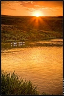 Я побреду тропой заросшей...