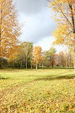 Осень как сказка и я так тебе рад!