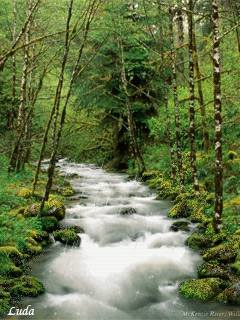 Сказки ручейка