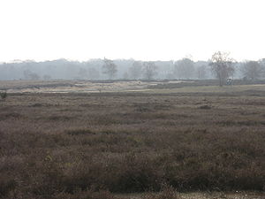 В этой осени нас двое...