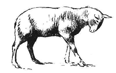 Про осла и скупого богача