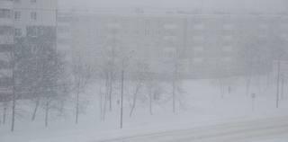 Что останется нам, когда мир станет серым?