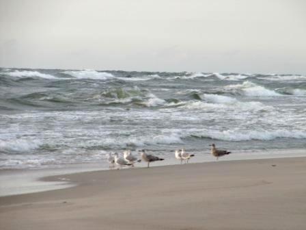 Субботний Очепяточный Блиц No 169. Начало в 21-00