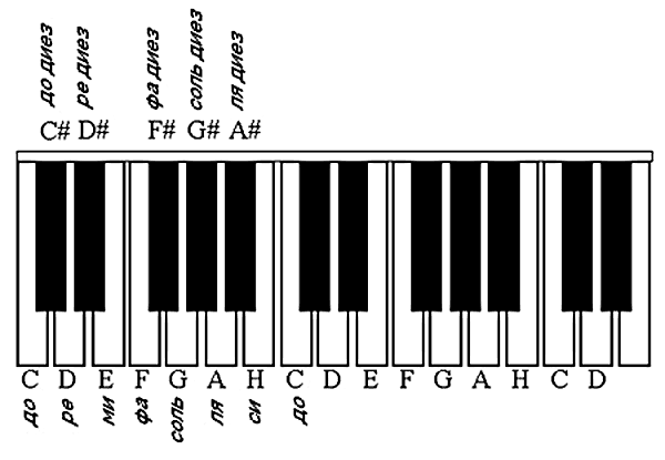 Схема октав. Октавы на синтезаторе 61 клавиша. Ноты и октавы на синтезаторе 61 клавиша. Схема клавиш на синтезаторе 61 клавиша. Расположение нот на синтезаторе 49 клавиш.