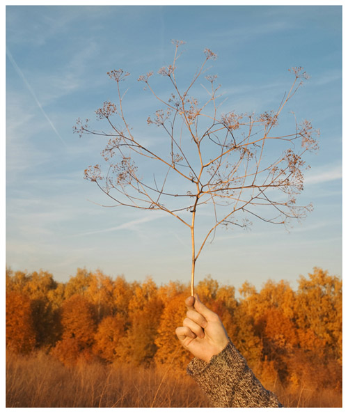 Осень с Эллиной Тульпер