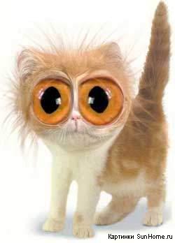 Если сдохла душа