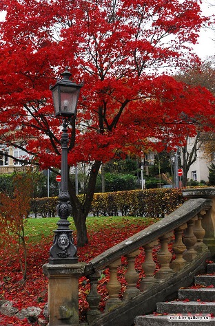 Ты счастливым быть хочешь сегодня..