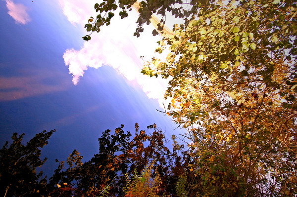 Мелодия осени