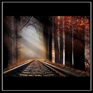 дорога в никуда