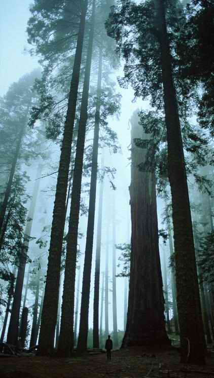 Путешествие из августа в сентябрь