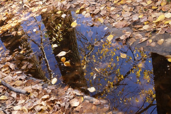 Другая осень