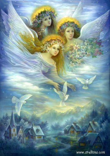 Вечные Спутницы жизни!