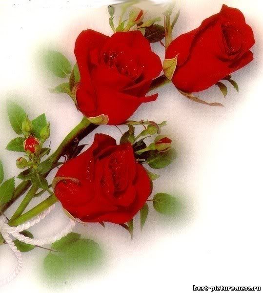 Зинаиде Дятловой! Мы коллеги