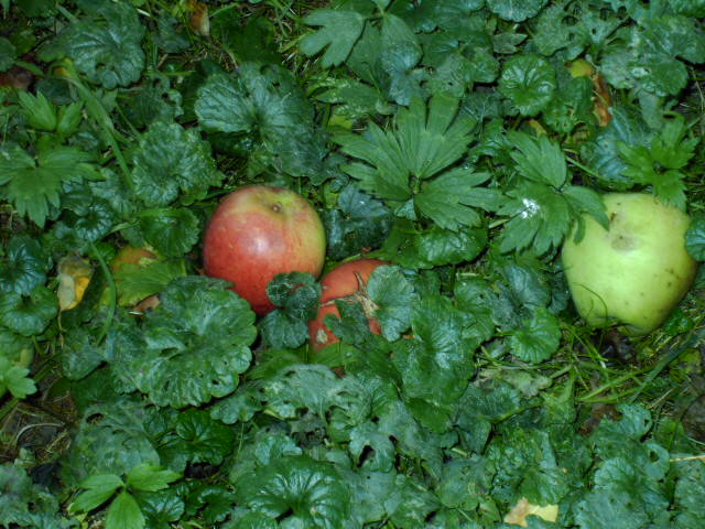 Жизнь, как миг